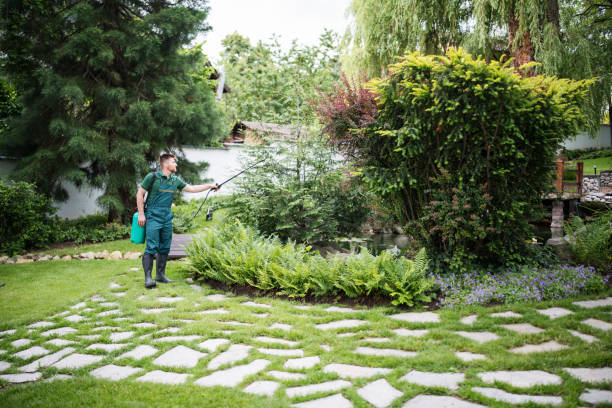 Best Cockroach Control Services  in North Bellmore, NY